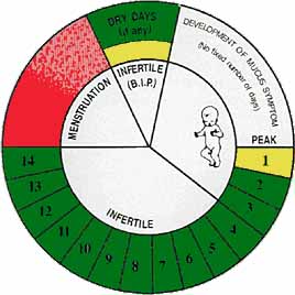 Natural Family Planning Calendar Method Chart